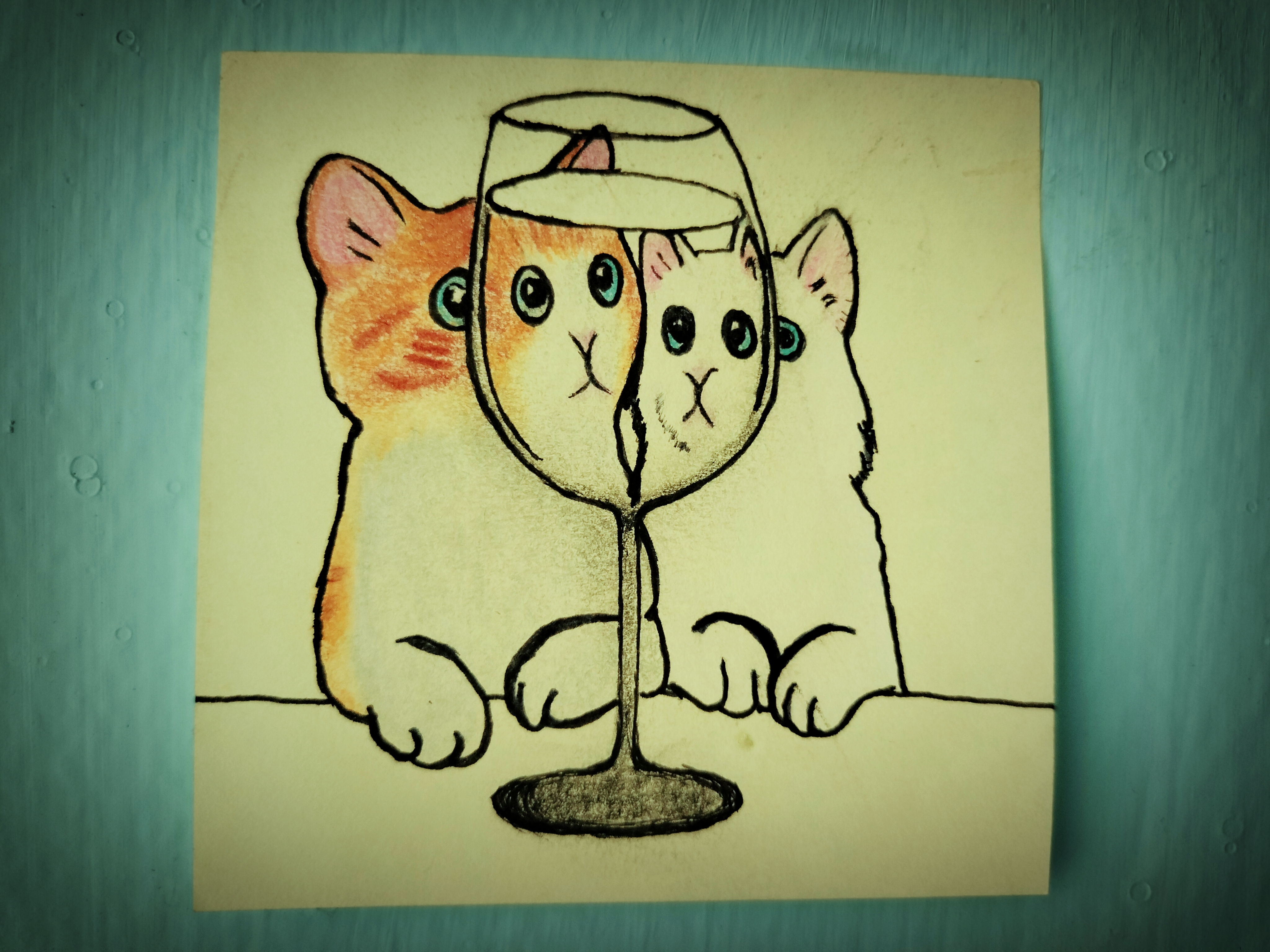 Beautiful Cats