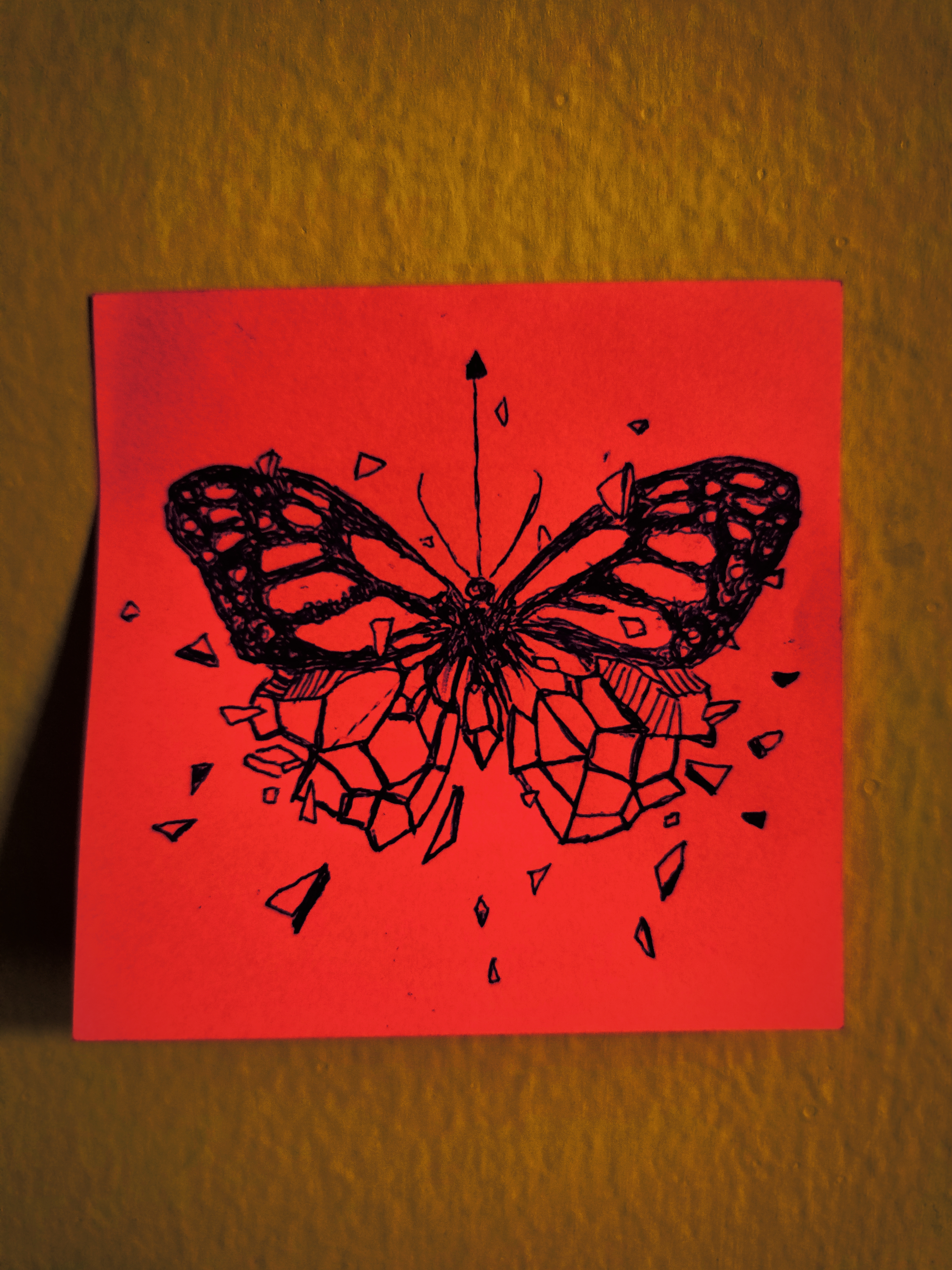 Butterfly