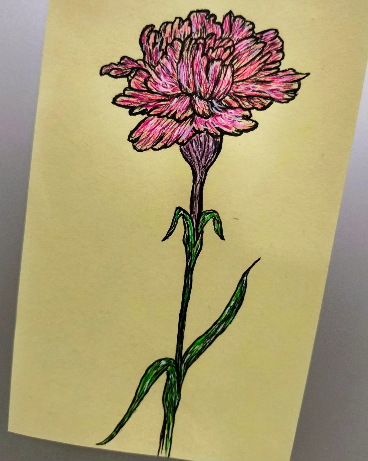 Flower 01