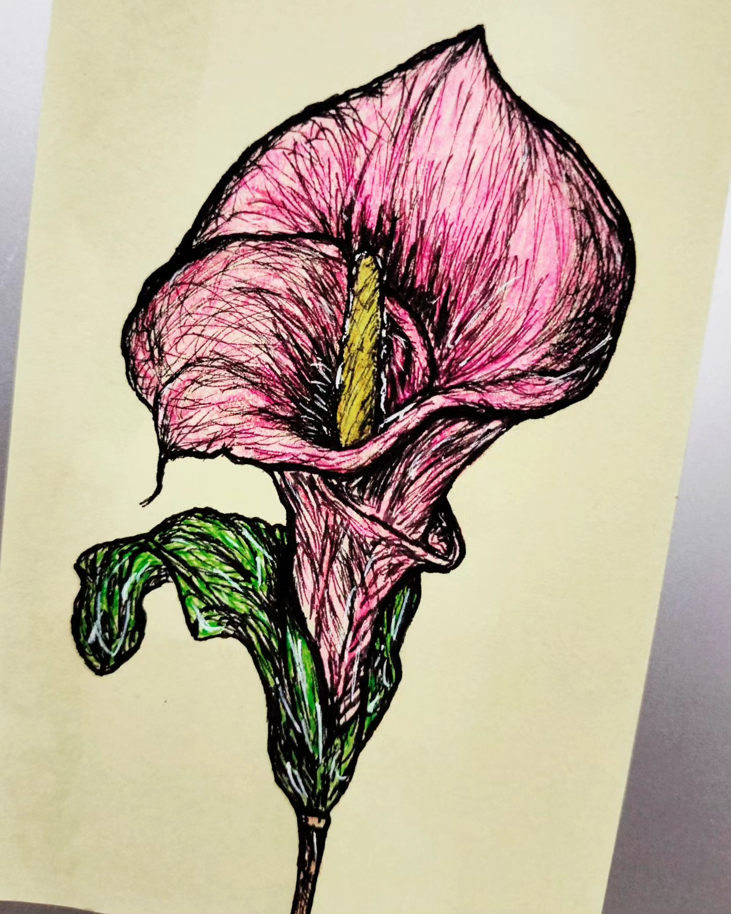 Flower 02