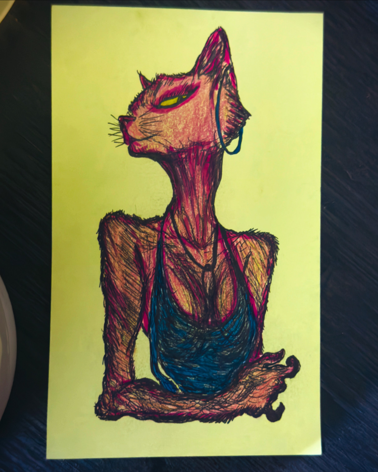 Luna Pink Cat