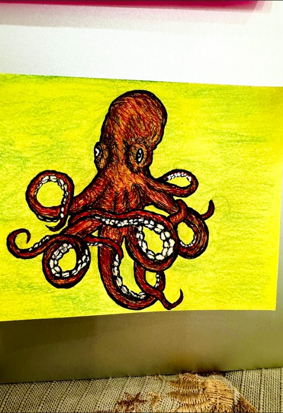 Octopus