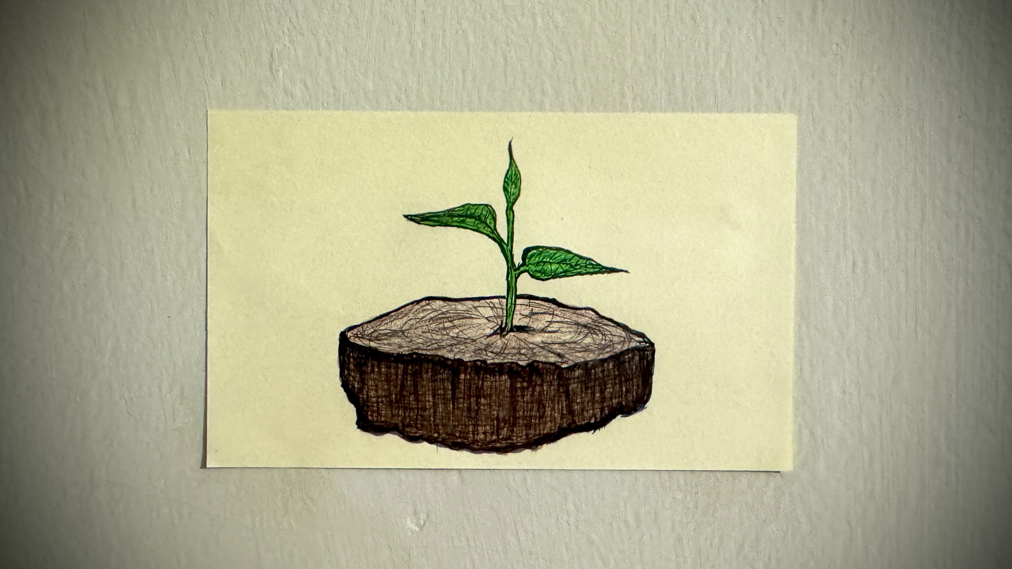 Rebirth