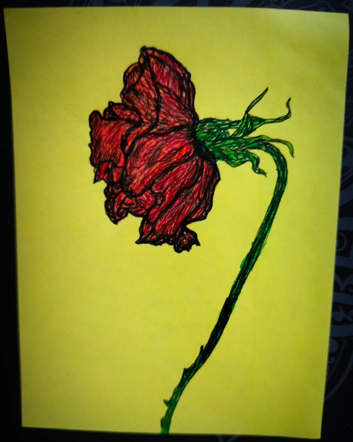 Red Rose