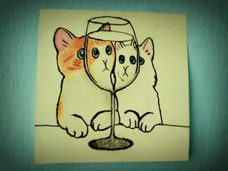 Beautiful Cats