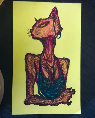 Luna Pink Cat
