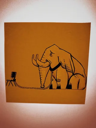 Chained Elephant
