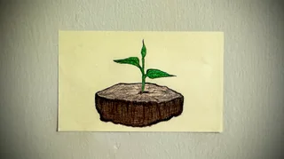 Rebirth