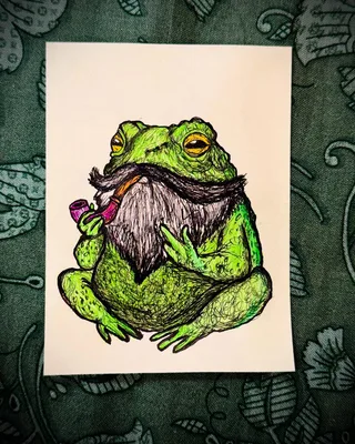 Wise Toad